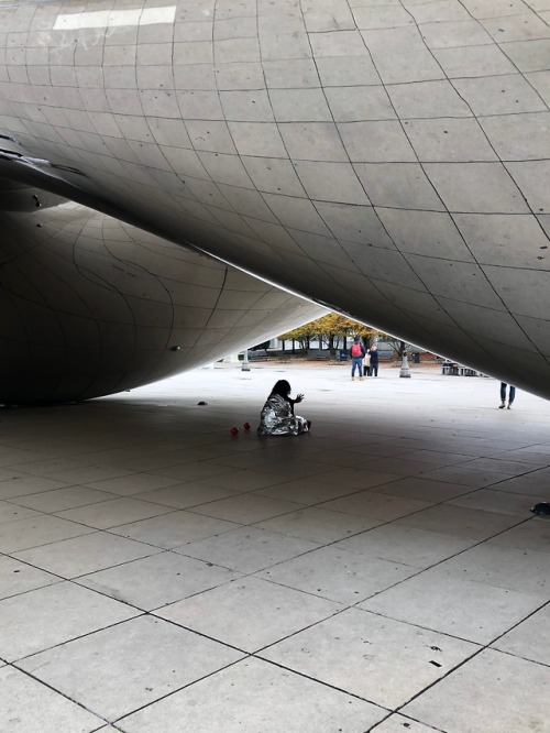 MILLENIUM PARK, IL: cloud gate.