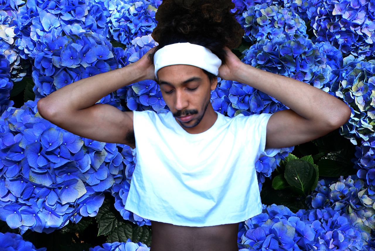 ilsuonodellatromba:  liamgavynsalt:  Plant Boy pt. 27  I need a signed coffee book