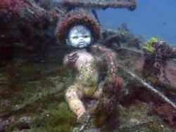 neon-casket:  hellisbehindthehorrific:  An abandoned babydoll underwater.  this is really scary but also the doll looks like it is playing a saxaphone 