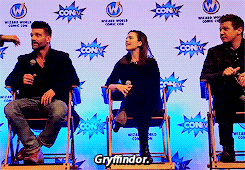 bbuchanann:‘What are your Hogwarts houses?’