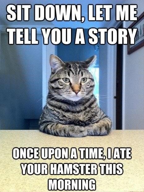 9-more-lives:Confessions of the most shameless cats on earth bit.ly/16IYNxe