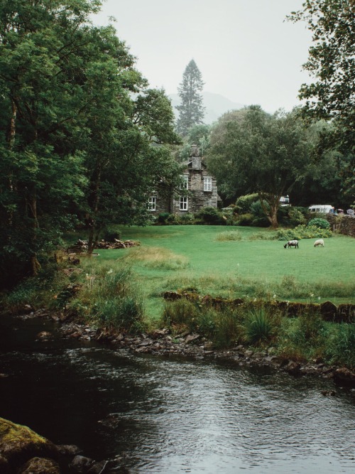 whitneyjustesen: dpcphotography: Lake District Cottages This is where I need to live someday.