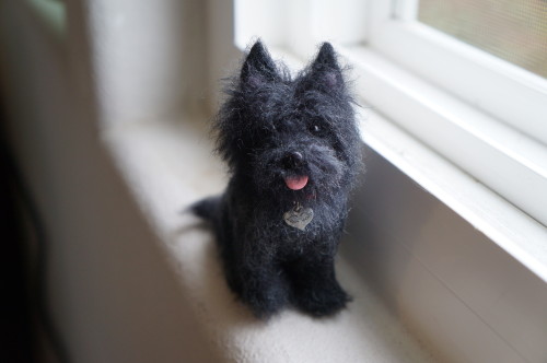  A needle felted black / grey Cairn Terrier “Kaite”.  Katie has crossed the rainbow brid