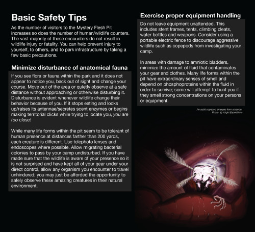 Wildlife Safety Brochure Though the Mystery Flesh Pit National park remained a model of visitor safe