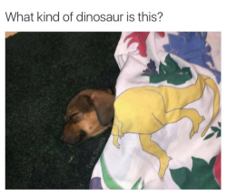 tastefullyoffensive:  Puppersaurus Rex (via