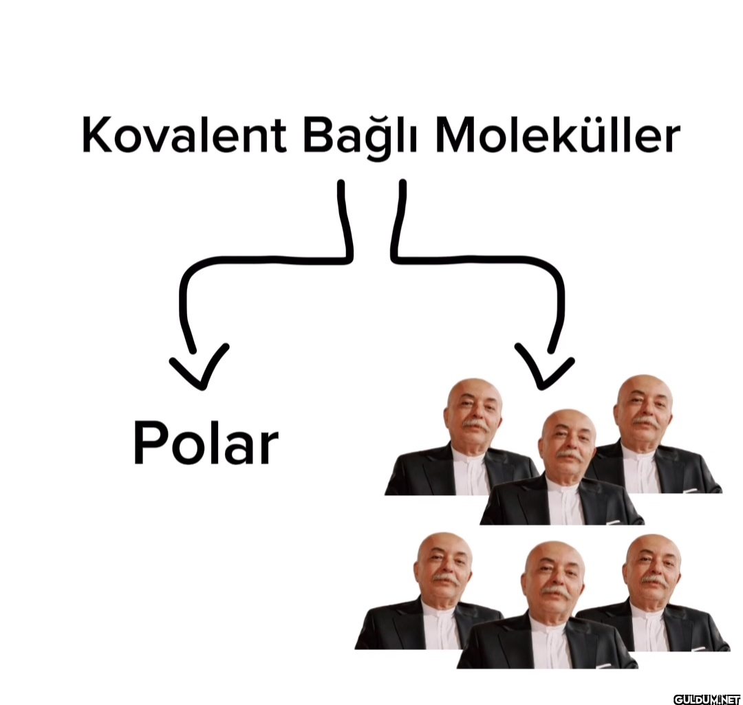 Kovalent Bağlı Moleküller JL Polar