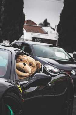 envyavenue:Ted x 458