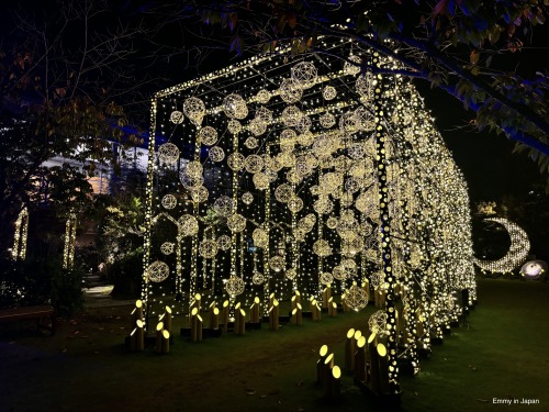 Princess Kaguya's Glowing Garden In Sakuramachi Kumamoto (かぐや姫の光る庭)