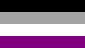 Asexuals/aromantics do not belong in the LGBT community, demisexuality is also a crock of shit. 