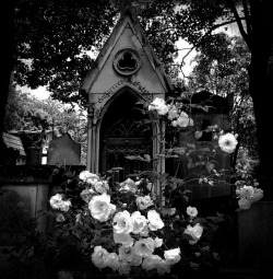 vacant-cemetery:  Way of Life by Tenebrae76