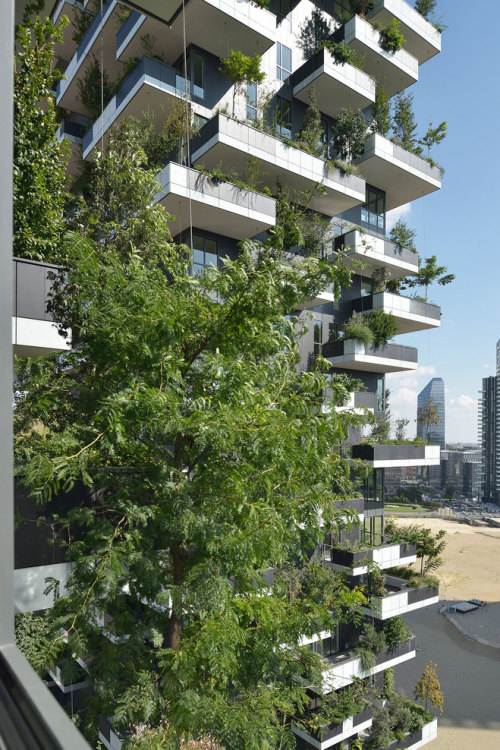 archatlas:  Bosco Verticale Boeri Studio (Stefano Boeri, Gianandrea Barreca, Giovanni La Varra) Italian architect Stefano Boeri designed this high-rise apartment buildings using trees and vegetation for its façade. ‘Bosco Verticale’ uses this