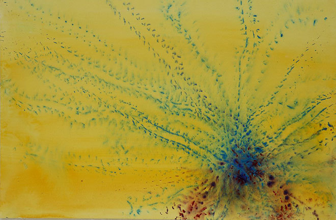 discoverynews:  Bugs Make Art: Photos  Entomologist Steven Kutcher is a Hollywood