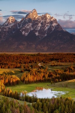letsgoforahike:  Let’s Go For A Hike 