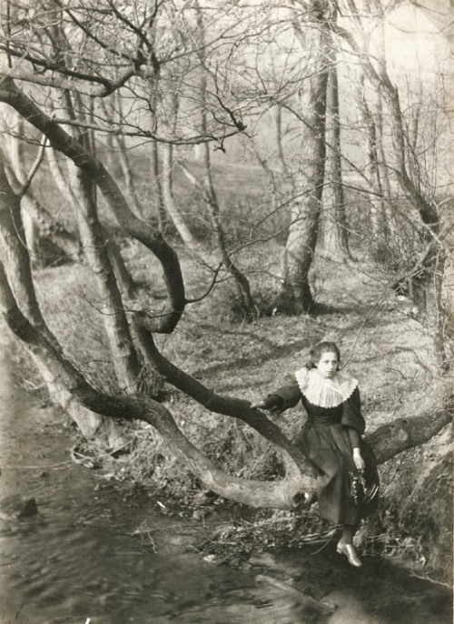 poboh:Girl in Tree by Stream, Epping Forest, England, 1892-1894,  Frederick H. Evans. English (1853 – 1943)  - Platinum print -