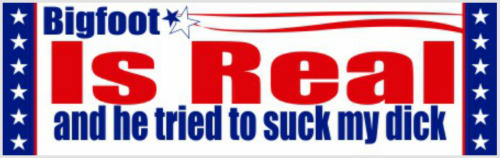 misandril:I found a website that lets you make your own political bumper stickers