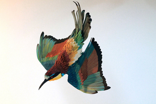 farewell-kingdom:New Paper Birds from Diana Beltran Herrera (via)