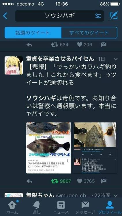 gkojax:  わっくん🐤さんのツイート: わずが29文字で人の命が助かる世界  それがTwitter https://t.co/aLBMBeXFip