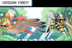 ommanyte:  Viridian forest, REPRESENT 