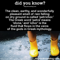 did-you-kno:The clean, earthy, and wonderfully pleasant smell of rain falling on dry ground is called ‘petrichor.’ The Greek word ‘petra’ means &lsquo;stone,’ and 'ichor’ is the fluid that flows in the veins of the gods in Greek mythology.