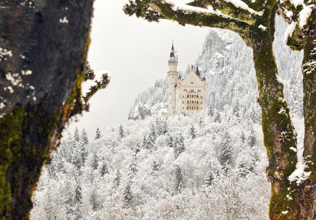 windflowerfairy:Dreamy Neuschwanstein Castle