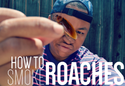 achickwithapipe:  surarn420:  [x]  this is knowledge everyone should have.ive always known to save my roaches but had no clue what to do with them lol