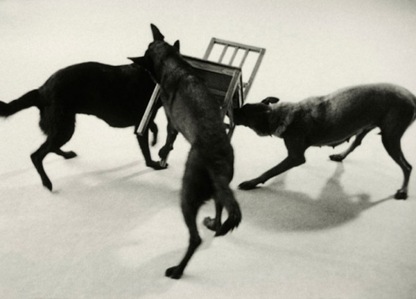 blue-voids:Ruben Bellinkx - The Musical Chair