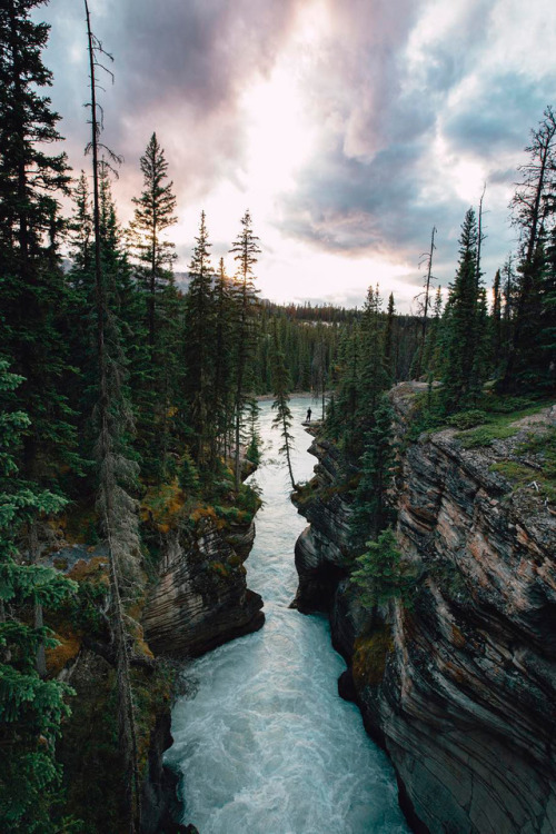 banshy: Athabasca Falls by Meagan Lindsey Bourne