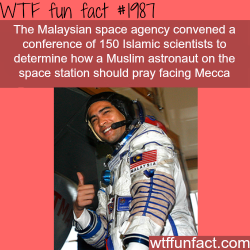wtf-fun-factss:  Malaysian space agency - WTF