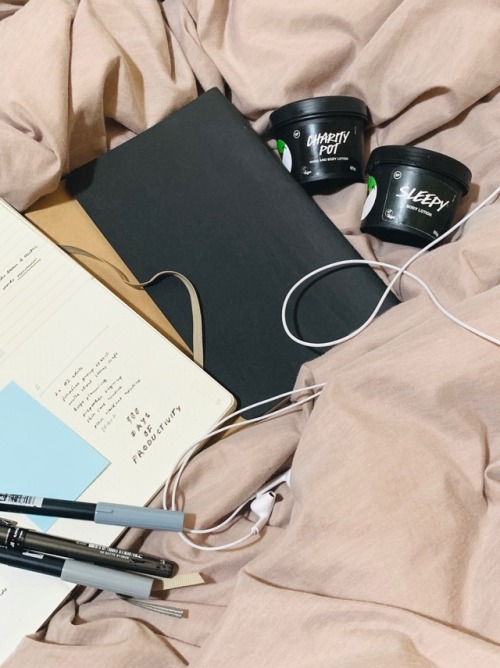 annibstudy:1/100 days of productivityone of my goals for 2019 was to participate in this challenge, 