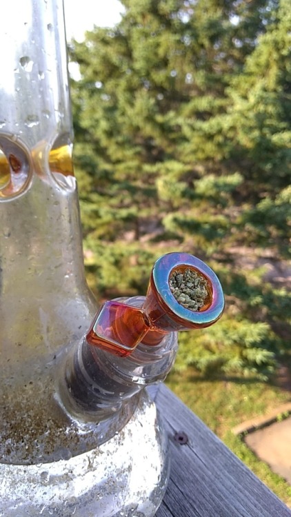 stonedpest:new bowl looks so good with Hohenheim