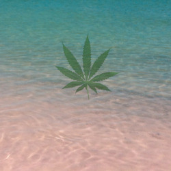 Namastê ☯
