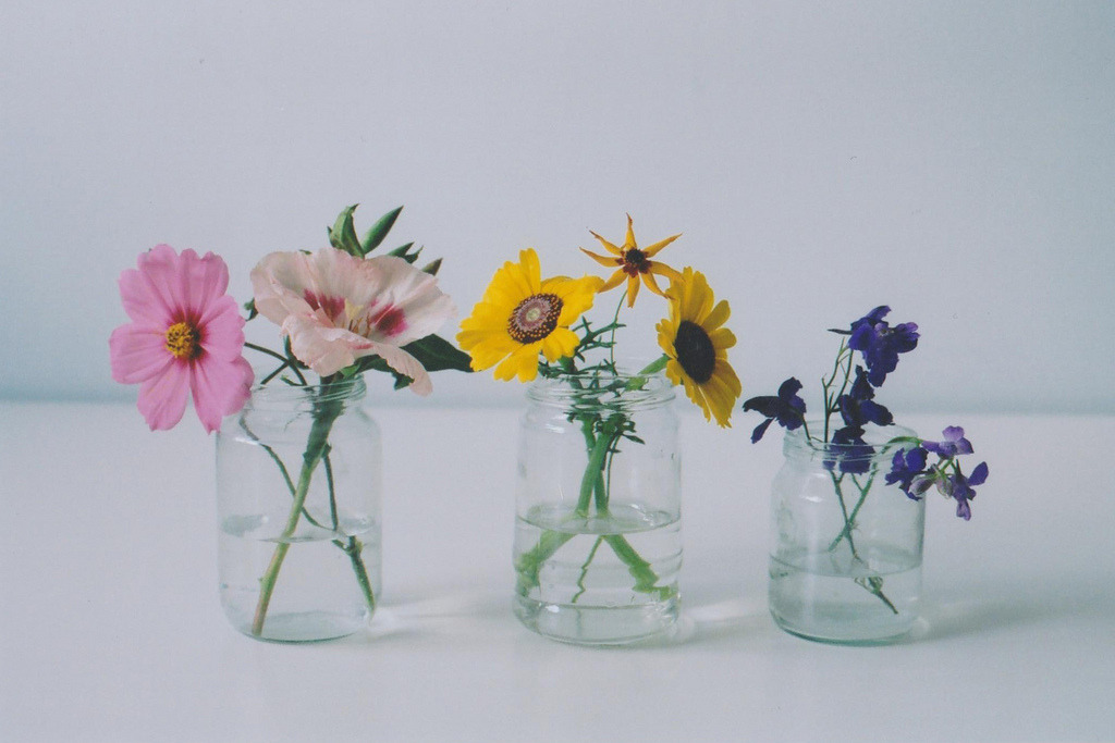jacindaelena:     by emily*w   