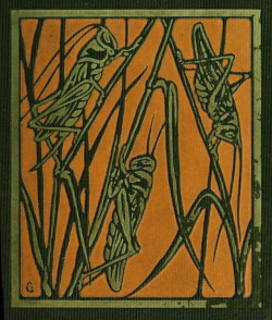 nemfrog:  Cover art. Grasshopper land. 1907.