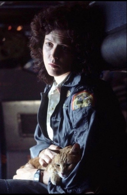 scifiandfantasyuniverse:Sigourney Weaver As Ripley With Jonesy “Alien”