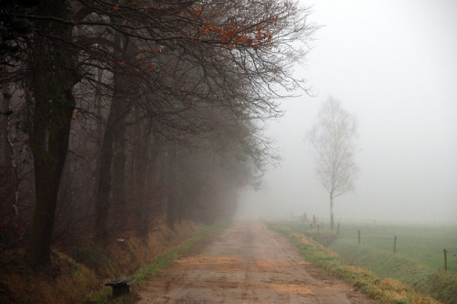 elorablue:  the mist by serni on Flickr.