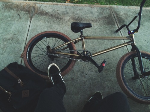 kylesrival:•••