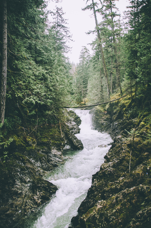 deeplovephotography:  instagram | flickr | facebook