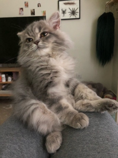 rockied:Mi tuna nodding off