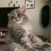 rockied:Mi tuna nodding off