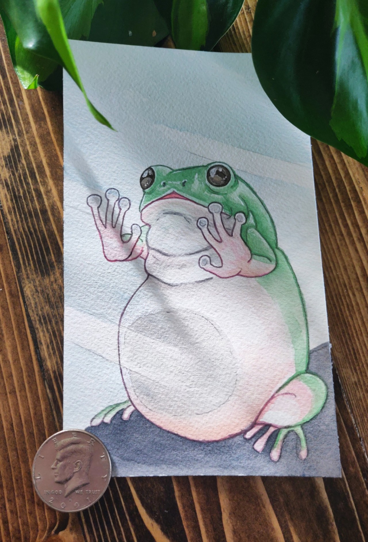 Frog Pfp Tumblr Posts Tumbral Com Frog Pfp Tumblr Posts Tumbral Com