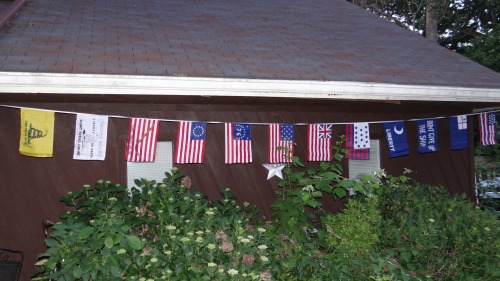 blondesforreagan:Summer at my house.  Had a delivery guy make a comment about Gadsden flags.&nb