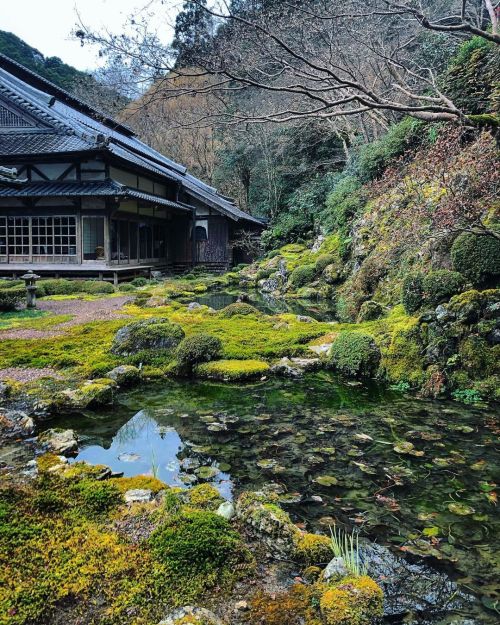 青源寺庭園 [ 高知県佐川町 ] Seigen-ji Temple Garden, Sakawa, Kochi の写真・記事を更新しました。 ーー日本植物学の父・牧野富太郎が少年時代に訪れていた苔の美