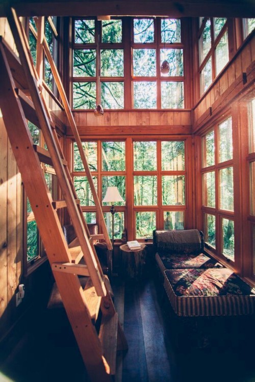 consequentialisms: Lovely cabin in the woods. Windows! It’s all about windows.