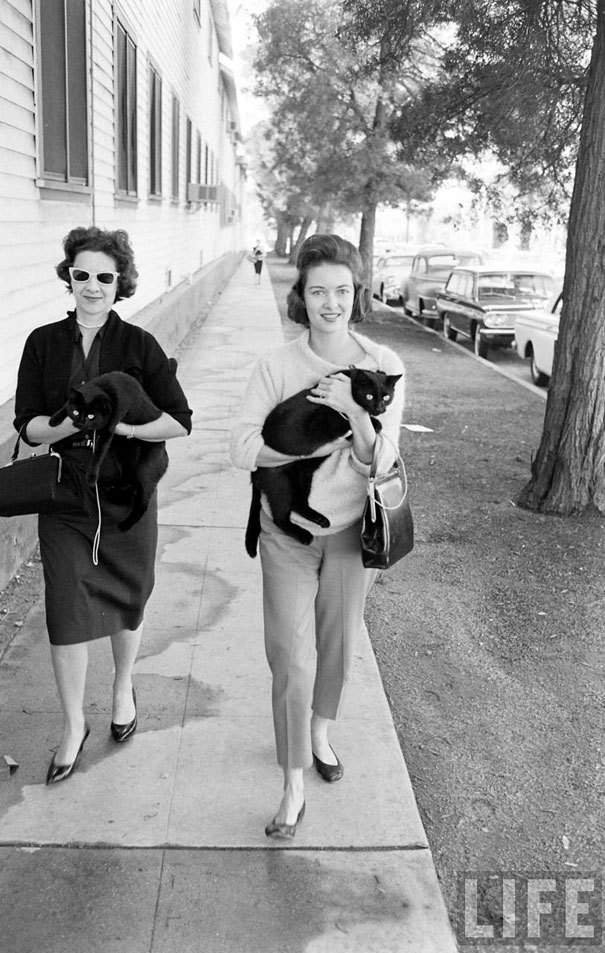 felineillusion:  1961,   Hollywood, California. Following a newspaper casting call,