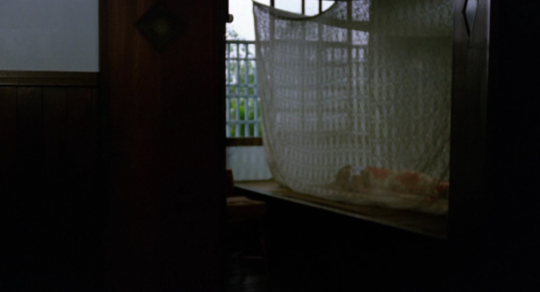 12h51mn:favorite films featuring a scene with a mosquito netThe Terrorizers (1986),