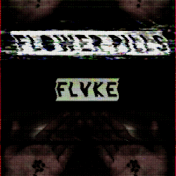 flvke:  my new album, flower pills, will