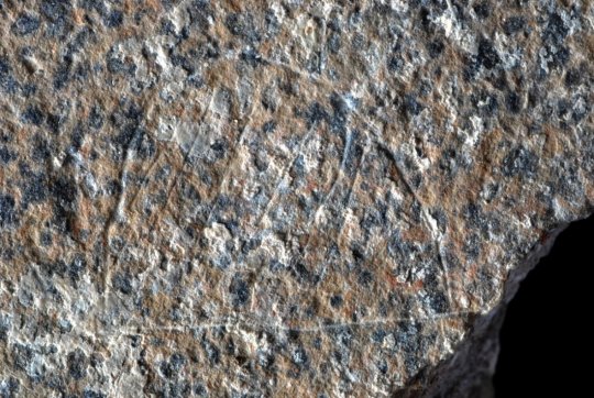 13,800-year-old engraving depicts Stone Age hunter gatherer campsite