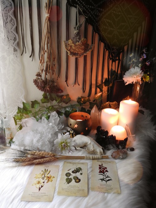 sylvandreamdesigns:I know I’m a day late but Blessed Lammas/Lughnasadh may this first harvest 