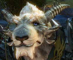 wintrwulf:  Strax, the charr of many colors.