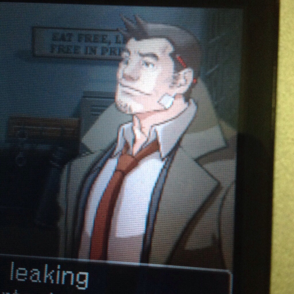 meximeximan:  I took this picture of Gumshoe because he’s my favorite husbando
